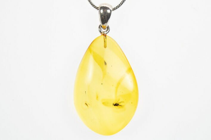 Polished Baltic Amber Pendant (Necklace) - Contains Two Flies! #307917